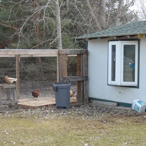 coop and run back with bay window that opens on right and left sides