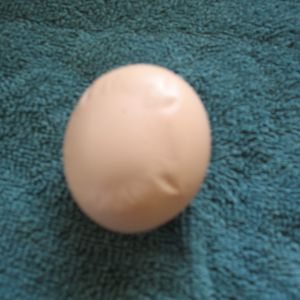 Egg laid by Righty on 4-9-15