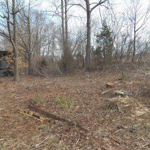 We began clearing the brush in January, after winter set in and the foliage died back.
