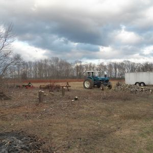 Most of the stumps we don't plan to bother about trying to remove. Just more stuff for the chickens to hop around on.