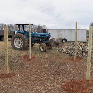 Coop construction began in March. Here are the four corner posts of the one we're building. We are going to have a second coop converted from an old dog kennel.