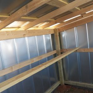 The roost is put up. We still plan to add a small roost half way between the main roost and the ground as a sort of "ladder" in case this roost is a bit too high for them to easily get up to.