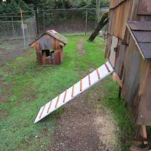 Silky ramp, is it too steep?