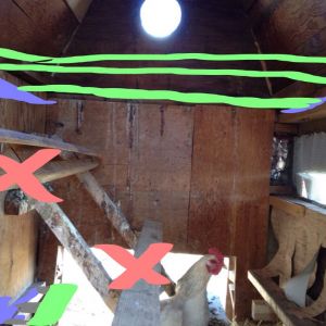 Green lines are roosting spots, we will be putting a roosting bar along the length of the coop above the pop door. The flock also roosts on the nesting box perch in the right bottom of picture, the blue arrows are where we will be putting supports for roosts. The pink x is the current roosts which will be removed.