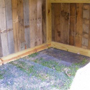 Inside the duck house