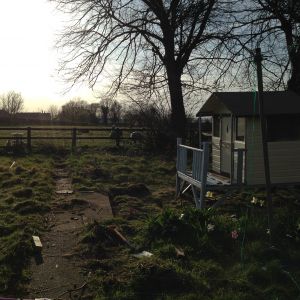 My garden looking like a building site! D: