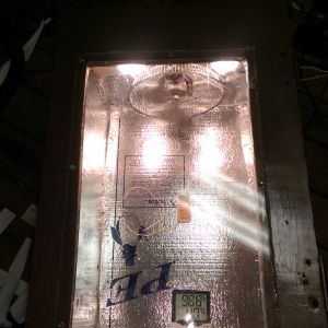 first trial run with the stc 1000 in yet