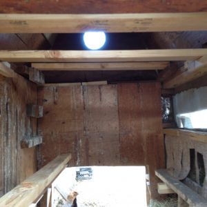 New roosts, based on Dutch style coops, three roosts above that are 2 x 4's cut to size. Roosts are secured with supports and screwed into place easily removed for cleaning the roosts.  Longer roosting bar running almost the length (on the left) of the coop put in place above the pop door. Perches directly in front of nest boxes allows yet another spot to roost.