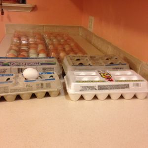 Sorting eggs for hatching