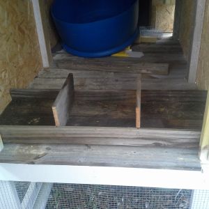 nesting box in place