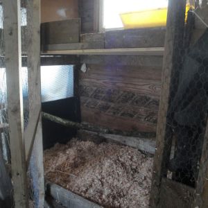 Double decker pens in the barn. Lower has a natural branch for a roost.