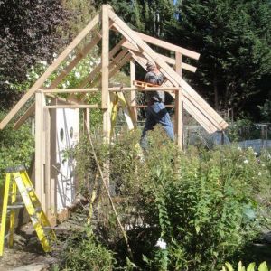 Framing the new Tudor chick house