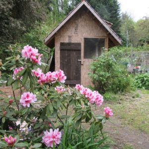Tudor style chick house is finished and has been used for a whole year.