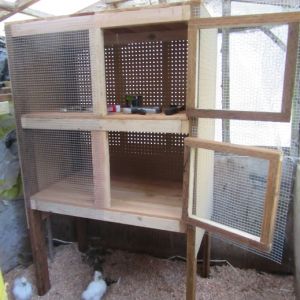 New chick cabinet for the old chick house. Useful for brooding silkie chicks. Needs to be wired now.