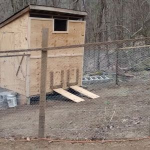 Chicken House and run under construction.