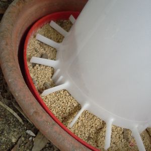 feeder fits nicely in flower pot water tray...catches all the wasted feed...works for 3-4 week old chicks..have not seen with grown chickens yet