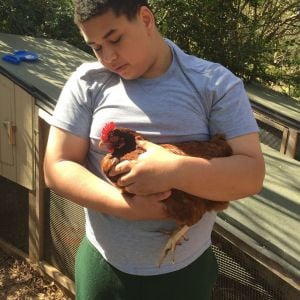 Our oldest loving on the chickens. He showed chickens in 4-H last year and thoroughly enjoyed it! Before then, he'd never held anything but a baby chick when he was much younger. We've never owned chickens before.