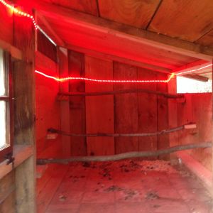 LED Lights off amazon for only $18.