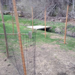 Not quite done with the run, the posts were only $6 and seem to hold the weight of the welded wire fence well.