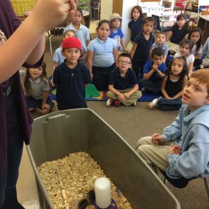 Teaching kids about chickens and the responsibility of being a chicken keeper.