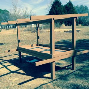 Rafters and painting as we go