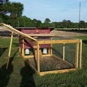 Our coop May 2015