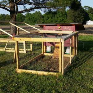 Another angle on Hokie Coop