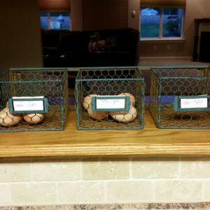This is where we keep our eggs...