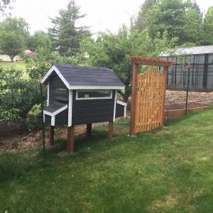 Just finished coop, needing to add ramp