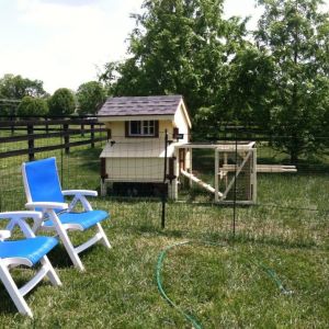 our coop now with Omlet fencing
