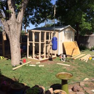 Framing of the new coop.  The smaller coop and run are to the left of this picture. We plan on joining the runs.