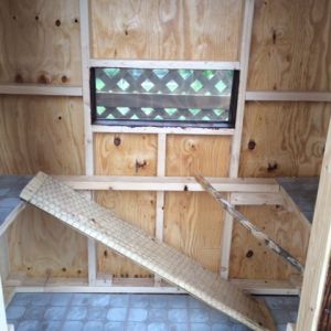 The lattice work you see in the window is actually about 2' away from the window.  The coop is enclosed by the run so the hens can go completely around it. We put lattice up to keep nosy neighbors from watching our girls!