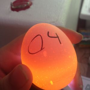 Egg 4 on day ~15