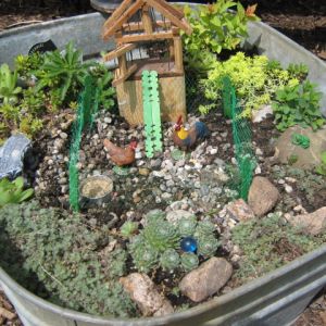 Look closely, it's a chicken coop mini-garden!
