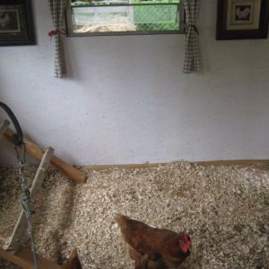 The existing windows provide excellent ventilation and are fully adjustable. Vinyl flooring makes for easy clean-up.