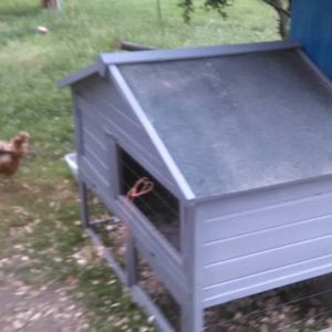 nice for my little girls I added to the flock.
