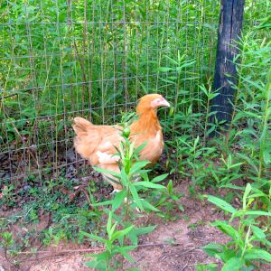 Hey, where'd everybody go?