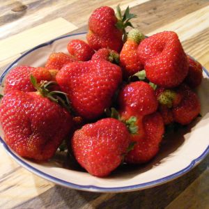 1st of the season from the garden!