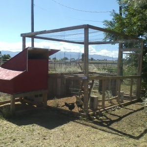 Run/coop for Kenny and Bianca