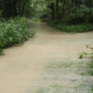 Flint creek breaching the bank - 5ft above usual level