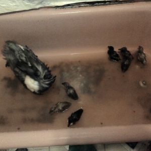 Bath time!