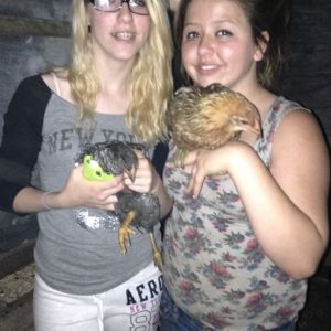 My daughter on Right and  Parrot I think shes supposed to be an easter egg layer. And her Best friend holding the Phineas