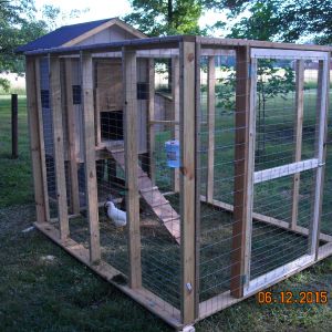 I got the chicken thin I built the coop.
my chickens where 2 days old when I got them.
my chickens are now 7 weeks old