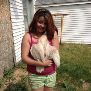 My daughter and my Indian Runner Super Sloot Hes no longer with us but was my favorite