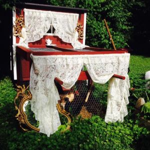 Our Chicken Tractor win -complete with Chicken Coop Curtains, LOL!!