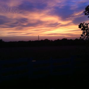 Beautiful Sunset out here on the farm, no need to edit this one.
