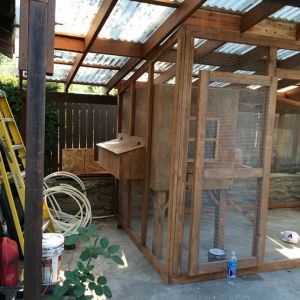 Built this coop under a customer's existing patio. It almost looks like it was all built at the same time... And we did this with just rough drawings, and measurements. It fit like a glove!