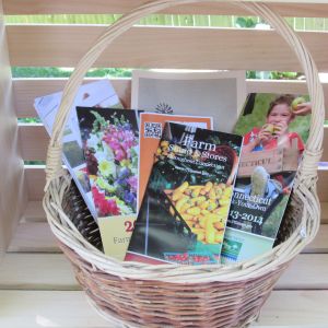 zoom on the literature basket