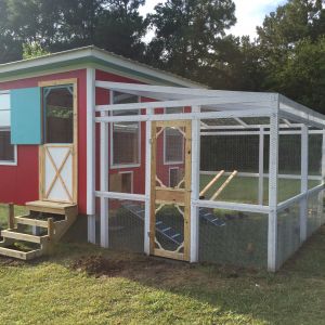 The coop is almost finished!