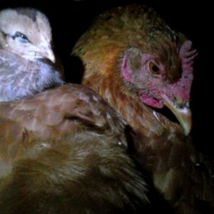 What is there to say?  Beautiful mama and happy baby!